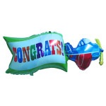 ´�ȥХ롼��ڥ����ץ쥤�󥳥󥰥�åġ�