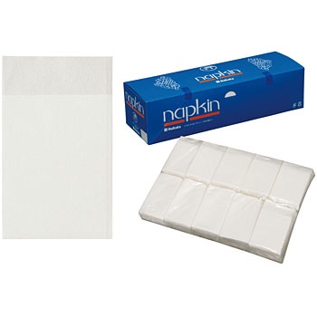 ϻ���޻�ʥץ���10000����(100���100��)