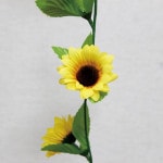 �ߥˤҤޤ�ꥷ�硼�ȥ������ɡ�24�ܥ��åȡˡ�