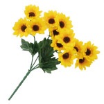 �Ҥޤ��֥å����6�ܥ��åȡ�