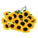 �Ҥޤ�ꥹ�ץ졼��24�ܥ��åȡ�