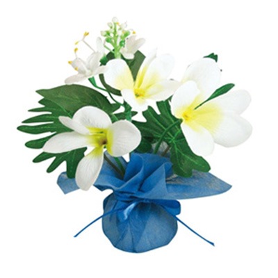 �ߥ˥ߥ˥ݥåȥץ��ꥢ��24����