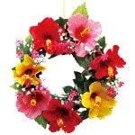 �ϥ��ӥ������꡼��