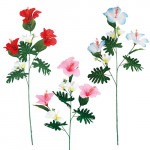 ���ץ쥤�ϥ��ӥ��������ץ��ꥢ��24�ܥ��åȡ�