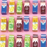 �̡��ͤ��⤷�����þ޷��ʡ�����ѥå�����40������