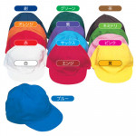 �������ѥ��顼˹�ҡ�΢�� 10�ĥ��å� ���������դ�