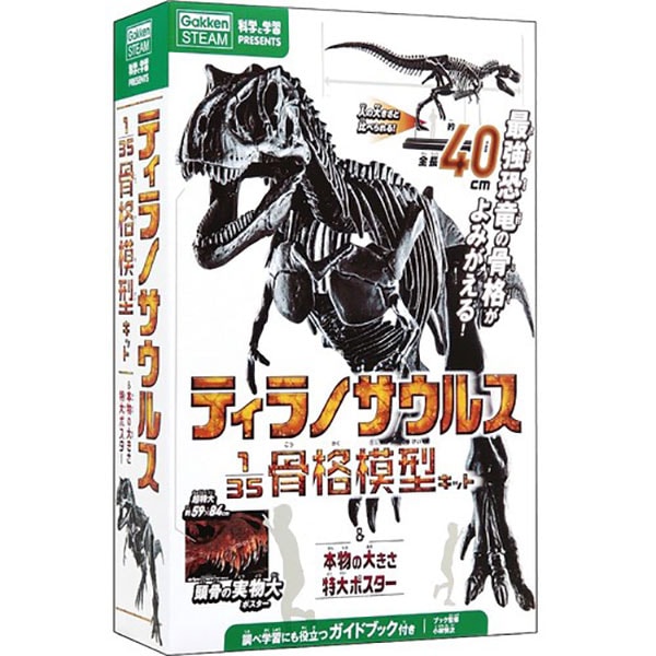 超特大 ティラノサウルス 骨格模型 フィギュア 約92cm T-REX 童友社 超特大 ティラノサウルス 骨格模型 フィギュア 約92cm T-REX