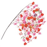 ��ޥ��饹���ߥ�����