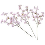 ������޺���3�ܥ��åȡˡ�