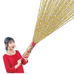 ���餫��ʤ������ۥ����᥿�륯��å���