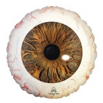 �ϥ������󡦥ե����Х롼��֥֥饦����֥롼������5����