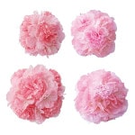 ���ܡ���