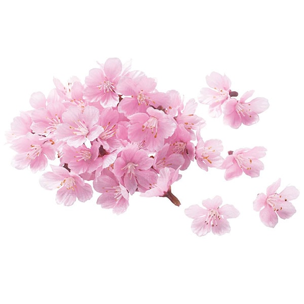 桜の花（48個セット） | 5.イベント装飾用品,春の装飾品,桜装飾