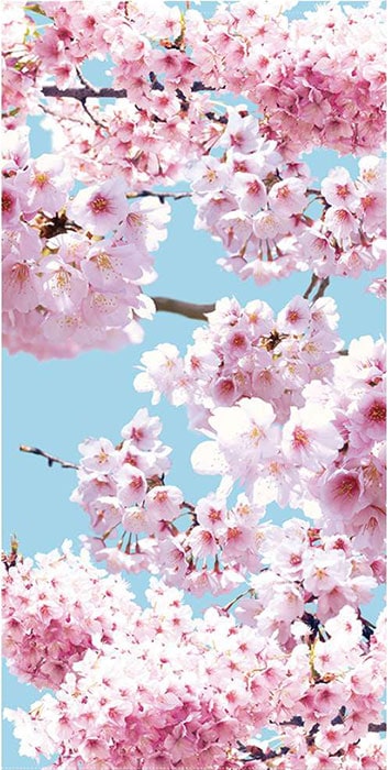 タペストリー 春「桜青空」（防炎加工） | 5.イベント装飾用品,春の
