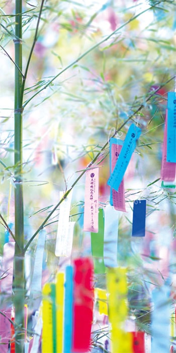 ���ڥ��ȥ꡼���ơֺ�������ɱ�ˡ�