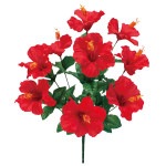 �ϥ��ӥ������֥å��塡9��«��12�ܥ��åȡ�