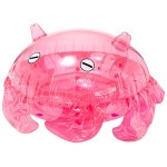 �������ե�����