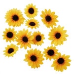 �Ҥޤ��إåɡ�12�ĥ��åȡ�