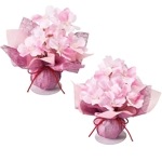 ������åס�2�ĥ��åȡ�