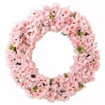 ������꡼�� 