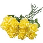 �����������������ץ졼��12�ܥ��åȡ�