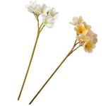 �ץ��ꥢ���ץ졼��6�ܥ��åȡ�