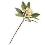 �ե�å��奫�åȥץ��ꥢ���ץ졼��3�ܥ��åȡ�