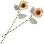 �˥奢�󥹥��ƥ�Ҥޤ�ꥹ�ץ졼��24�ܥ��åȡ�