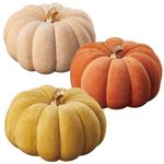 �ե��֥�å��ѥ�ץ��� �ӥå�