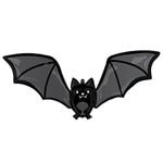 �ϥ������󡦥ե����Х롼��ڥ������Хåƥ��Хåȡ�