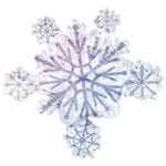 ꥹޥХ롼 ץꥺޥƥåΡե졼