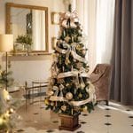 ���������١��������ĥ꡼���åȡڥ�����ɡ�