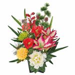 �̲�������