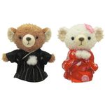 �����륫��ɡ��롡COBE������