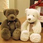 �����ǥ��󥰥ɡ���֥С����ȡ��٥�����