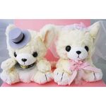 �����ǥ��󥰥ɡ���֥��塼�ȡ������ץ��å�