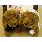 �����ǥ��󥰥ɡ���֥�֥꡼���ȥ��ס��ɥ�ʥ֥饦��ˡ�