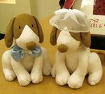 �����ǥ��󥰥ɡ���֥�֡����ƥ��å��ץ��å�