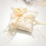 ��󥰥ԥ������ꥭ�åȡ֥������ȥ������ʥ�������2�ˡ�