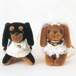 �����ǥ��󥰥ɡ�����ꥭ�åȡ֥ߥ˥��奢�����å����������ˡ�