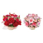 ���������������