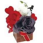 �Х�󥿥��󥮥եȥݥå�