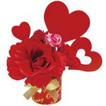 �ϡ��ȥ������ݥå�