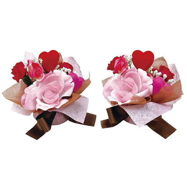 �ԥ󥯥Х�󥿥����åס�2�ĥ��åȡ�