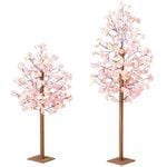 �ʥ������Ω����