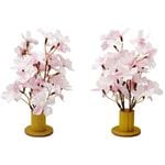 �º��ߥ˥�����ɡ�2�ĥ��åȡ�