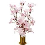 �޺��������