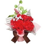 �����͡������٥꡼�ߥå�����å�