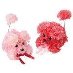 �����͡������ס��ɥ�