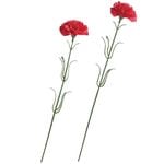 �����͡�����󥹥ץ졼��10�ܥ��åȡ�